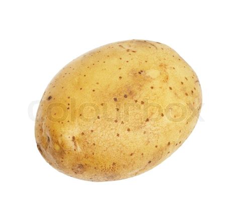 One potato isolated, object on white background | Stock Photo | Colourbox