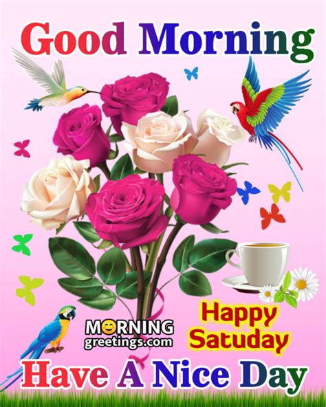 50 Good Morning Happy Saturday Images Morning Greetings Morning