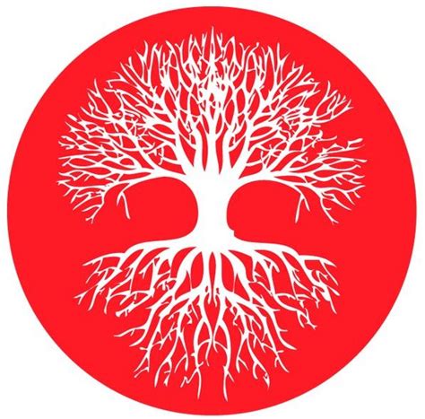 Anaya Online – Anaya