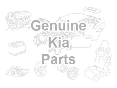 UM022CH269 Genuine Kia ATF SP4M-1