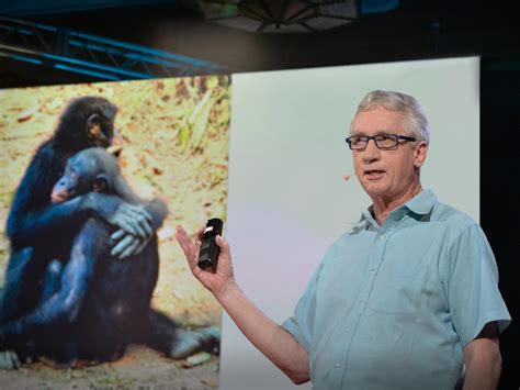 Frans De Waal What Qualities Make A Good Leader In Chimpanzees