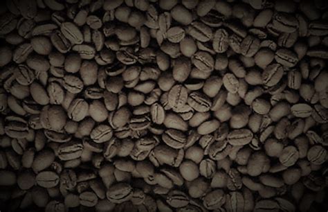 A History Of Coffee Since The Middle Ages Brewminate A Bold Blend Of