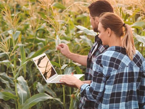 Qual Curso Fazer Para Trabalhar No Campo