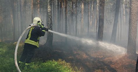 hoyte24 Nachrichtenportal für Hoyerswerda Waldbrandgefahr schon auf