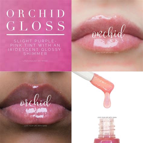 Orchid Gloss Lipsense Orchid Gloss By Senegence Orchid Gloss Orchid Gloss Lipsense Lip Colors