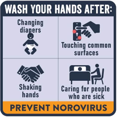 About Norovirus Norovirus Cdc