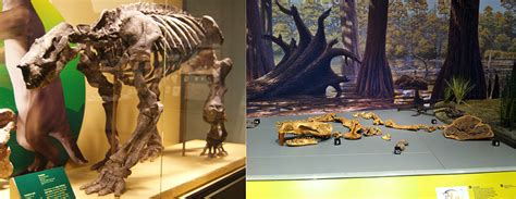 Seeing Double: How The Field Museum Makes Fossil Casts - Field Museum