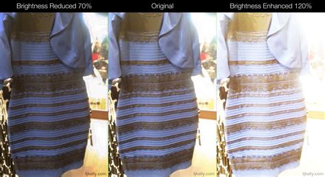 The Dress Is Black And Blue But Heres Why You Cant Tell Tj Kelly