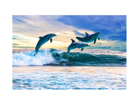 Blue Dolphin Painting Art Print.