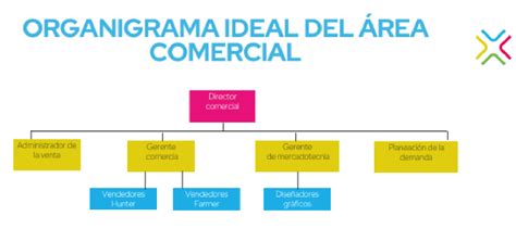 Area Comercial O Que É - CÓMO ESTRUCTURAR EL ÁREA COMERCIAL EN TU EMPRESA. - INNOVARTE