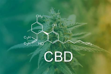 What Are The Different Cbd Compounds And Their Proven Health Benefits