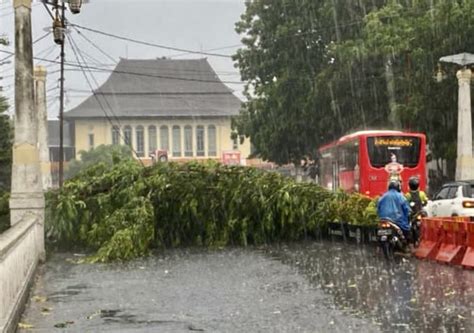 Belasan Pohon Tumbang Di 15 Titik Kota Solo Akibat Hujan Lebat Disertai