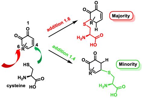 Processes Free Full Text Polyphenols As Antioxidant Pro Oxidant