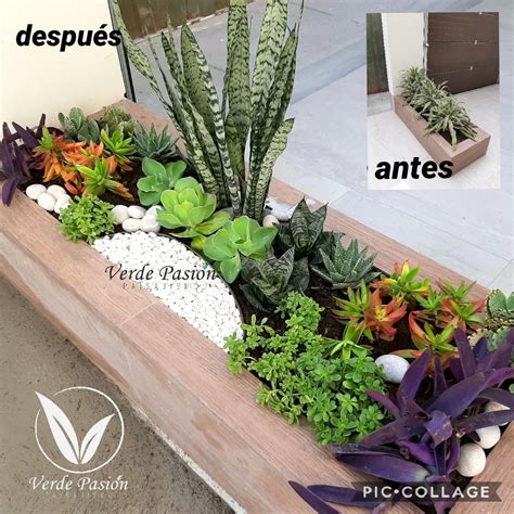 Jardinera Con Suculentas Indoor Plants Plants Houseplants