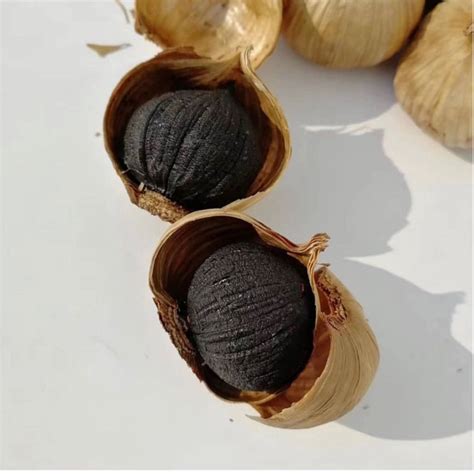 Jual Solo Black Garlic Bawang Hitam Tunggal Bawang Hitam Fermentasi