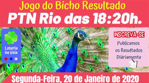 Ptn Rio Resultado Jogo Do Bicho Hs Segunda Feira Youtube