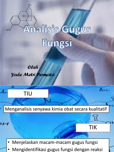 Gugus Fungsi Pdf