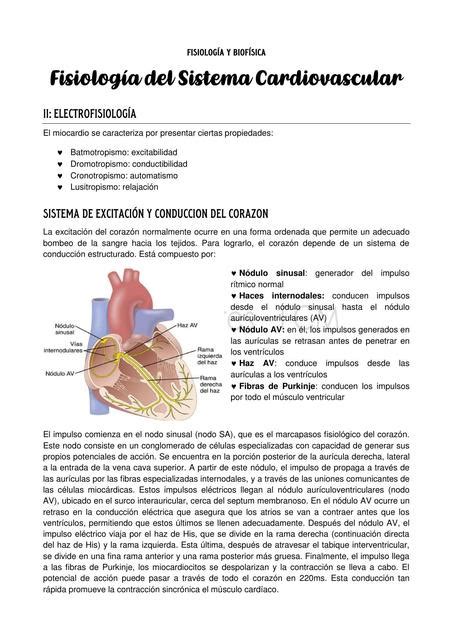 Fisiolog A Del Sistema Cardiovascular Ii Electrofisiologia