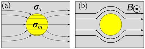 Materials Free Full Text Extraordinary Magnetoresistance In