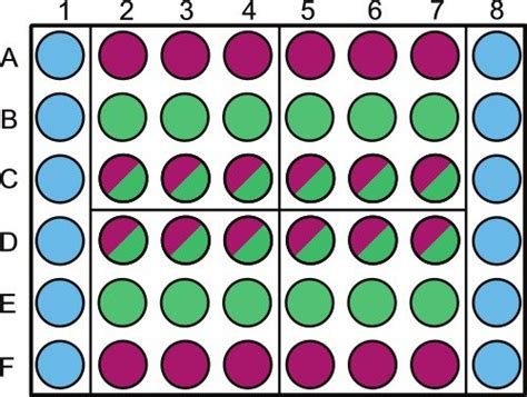 Schematic Representation Of Sample Placement In A 48 Well Microtiter Download Scientific