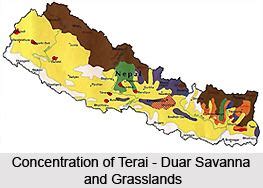 Terai Duar Savanna And Grasslands Alchetron The Free Social Encyclopedia