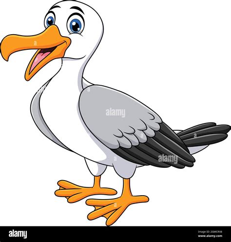 Cute Seagull Clipart