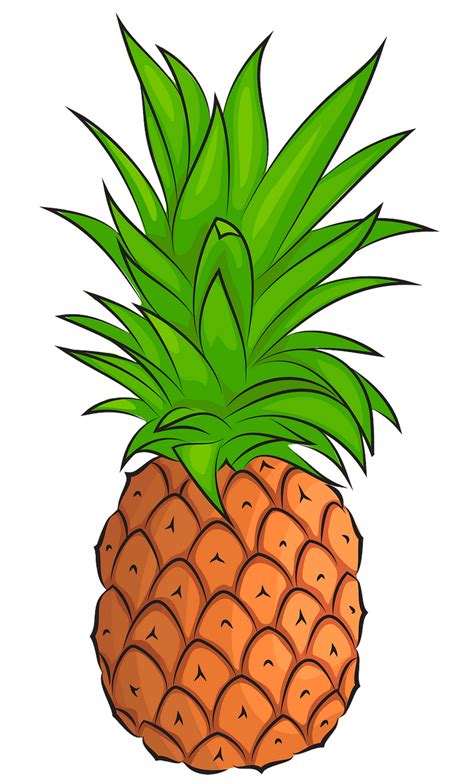 Pineapples Clipart Free Cliparts A