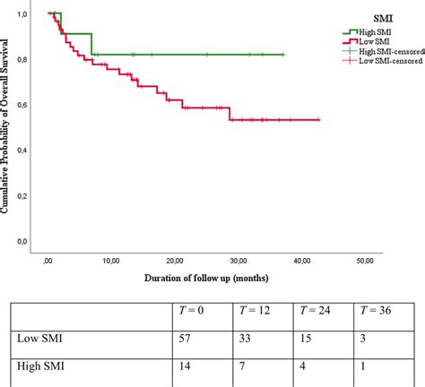 Kaplanmeier Overall Survival Curves And Number At Risk Table For