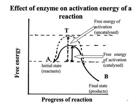 Lecture Properties Of Enzymes And Enzyme Kinetics Part A