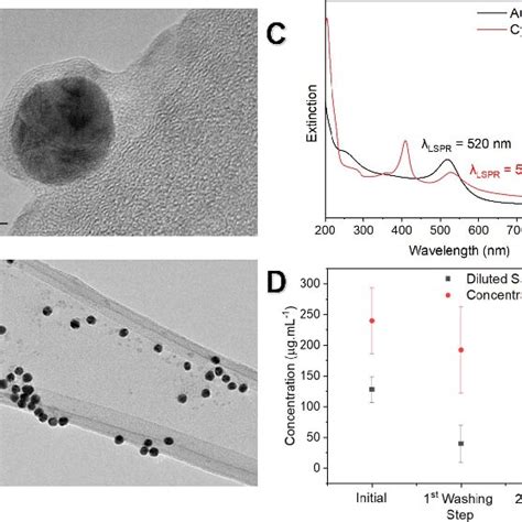 Characterization Of Cytc Aunp Tem Micrographs Using A Laceycarbon Grid