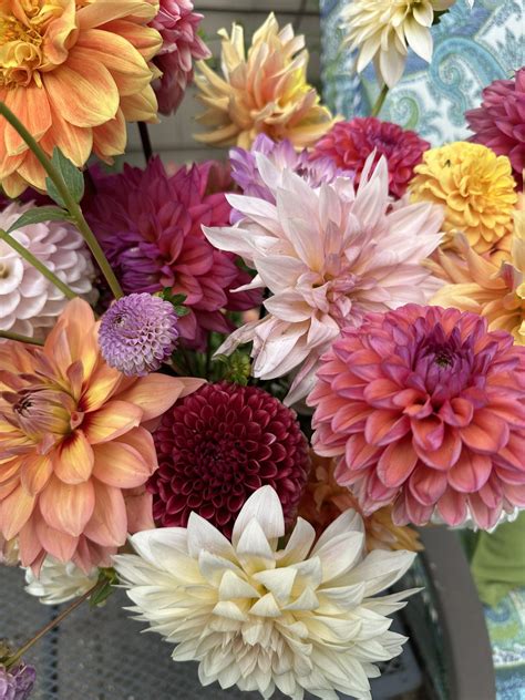 Pleasant View Gardens - Congrats to our family namesake, now