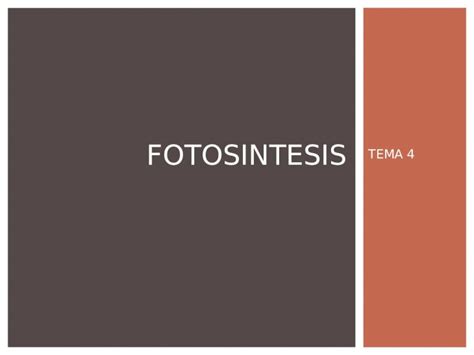 (PPT) TEMA 4 FOTOSINTESIS. LA FOTOSÍNTESIS ES EL PROCESO DE CONVERSIÓN ...