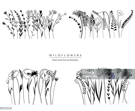 Botanical Abstract Line Art Compositions Minimal Floral Borders Of Hand