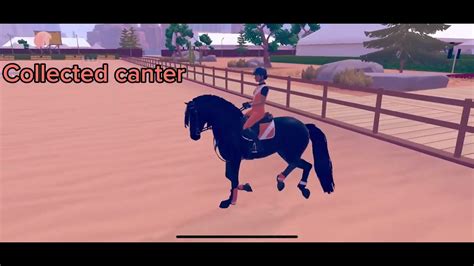 My Dressage Competition Entry For That One Autistic Weirdo Youtube