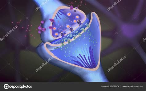 Synapse Neuron D