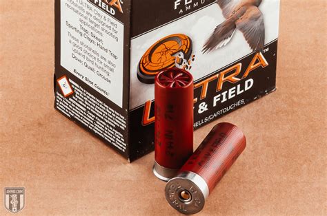 16 Gauge Vs 12 Gauge Shotgun Shell Comparison By Experts