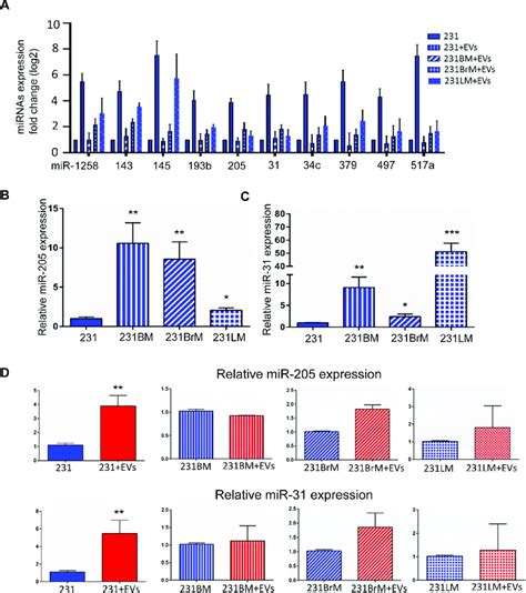 Identification Of Cargo Mirna Present In Hmsc Evs That Affects Dormancy