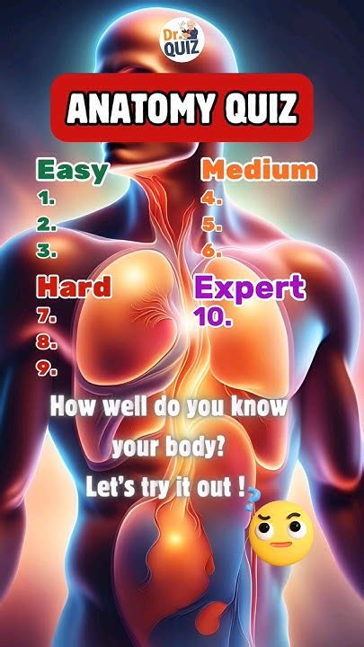 How Well Do You Know Your Body Anatomy Quiz Quiz Guess Puzzle