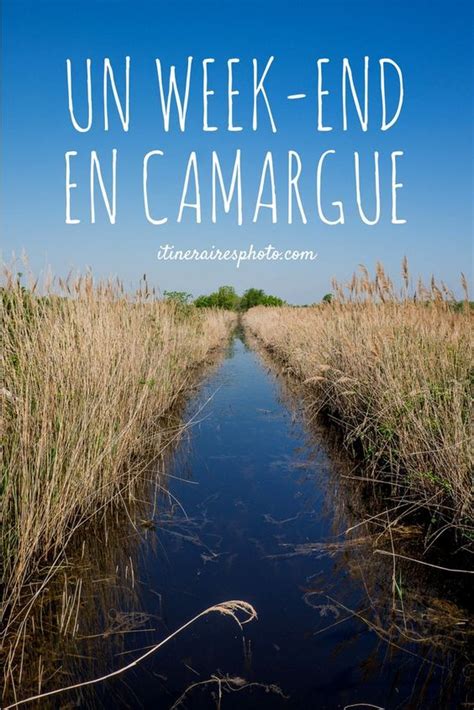 Escapade De Deux Jours En Camargue Arles Et Les Espaces Naturels