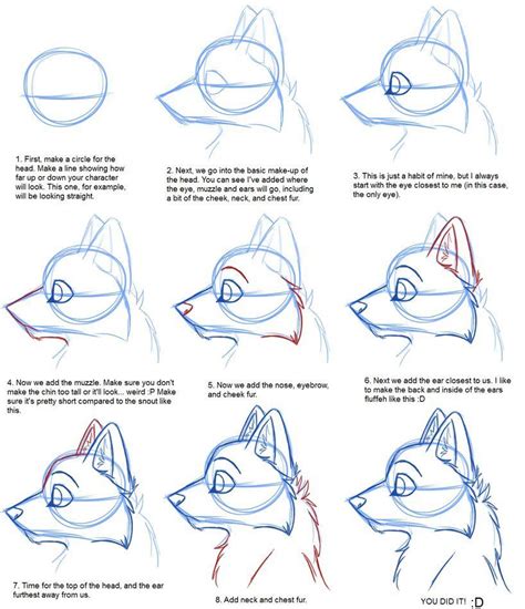 How To Draw Furries Step By Step Guide How To Draw