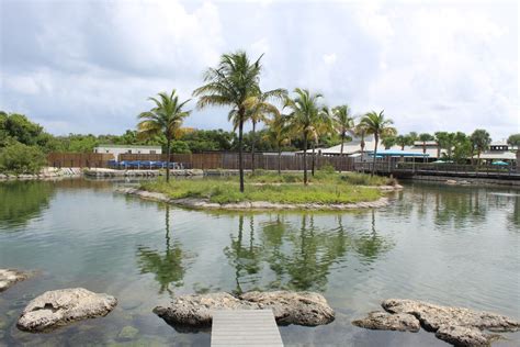 Indian River Lagoon - ZooChat