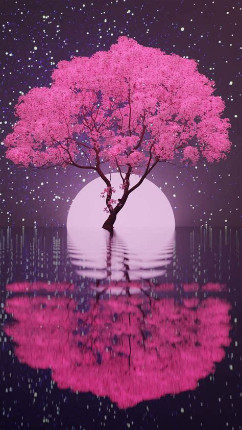 Cherry Blossom Tree At Night Wallpaper