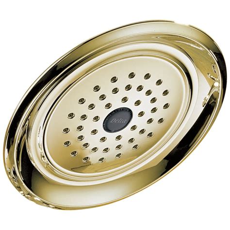 Delta Innovations Polished Brass Spray Shower Head At