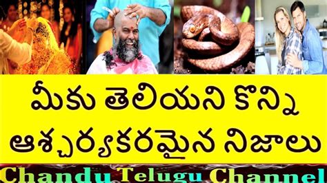 Top 15 Interesting Facts In Telugu You Never Know Unknown And Amazing