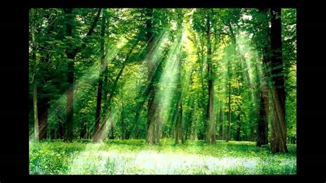 Красивая музыка - Красота природы САМЫЙ ОФИГЕННЫЙ КЛИП ПРИРОДА - YouTube