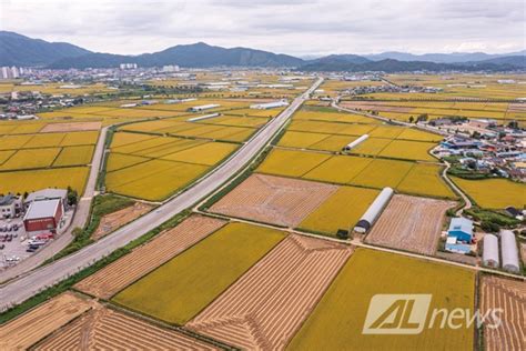 올해 벼 재배면적 2만6000㏊ 감축 추진 농축산기계신문