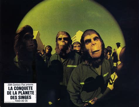 Conquest Of The Planet Of The Apes French Lobby Cards