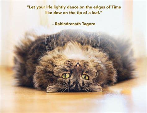 14 Deeply Inspirational Cat Posters to Hang In Your Dorm Room