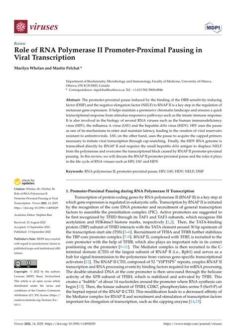 (PDF) Role of RNA Polymerase II Promoter-Proximal Pausing in Viral ...