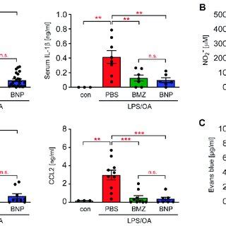 Analysis Of Inflammatory Mediators In The Serum And The Permeability Of